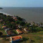 queijo de bufala tesouro da ilha do marajo ganha mercado no pais