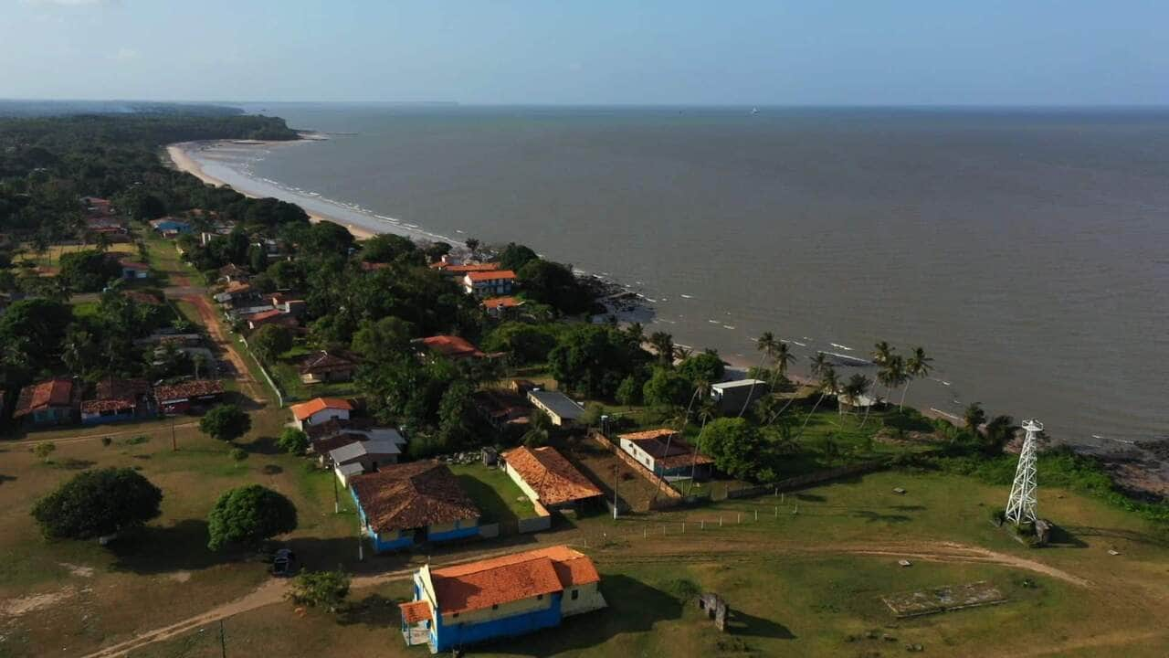 queijo de bufala tesouro da ilha do marajo ganha mercado no pais