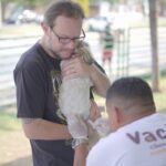 vacinacao antirrabica em lucas do rio verde ultrapassa meta vacinal