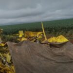 Avião agrícola cai e piloto morre em Mato Grosso