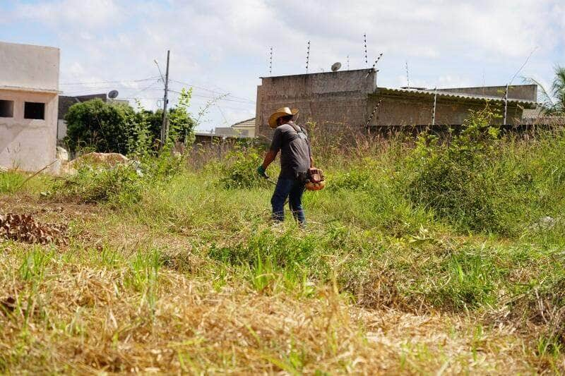 bairros bandeirantes e parques das araras lideram com mais terrenos sujos