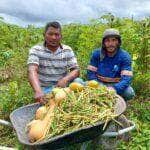 com apoio da empaer agricultores comercializam para merenda escolar