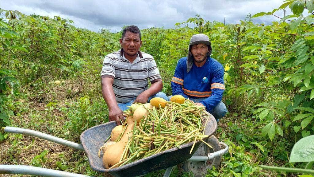 com apoio da empaer agricultores comercializam para merenda escolar