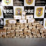 delegacia de entorpecentes incinerou mais de 7 toneladas de drogas este ano