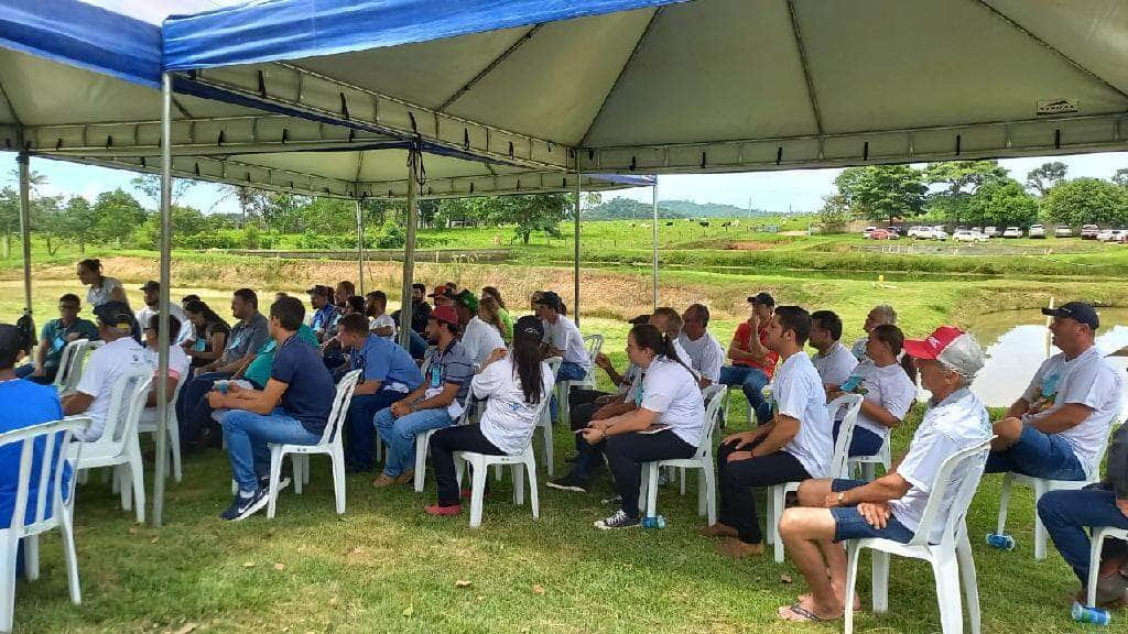 dia de campo em guaranta do norte mostra viabilidade na criacao de peixe em cativeiro