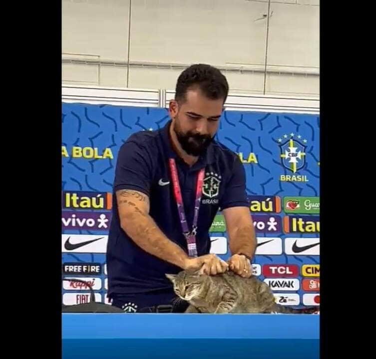 Forma como gato foi retirado pelo assessor, causou certa polêmica