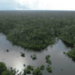 Amazônia