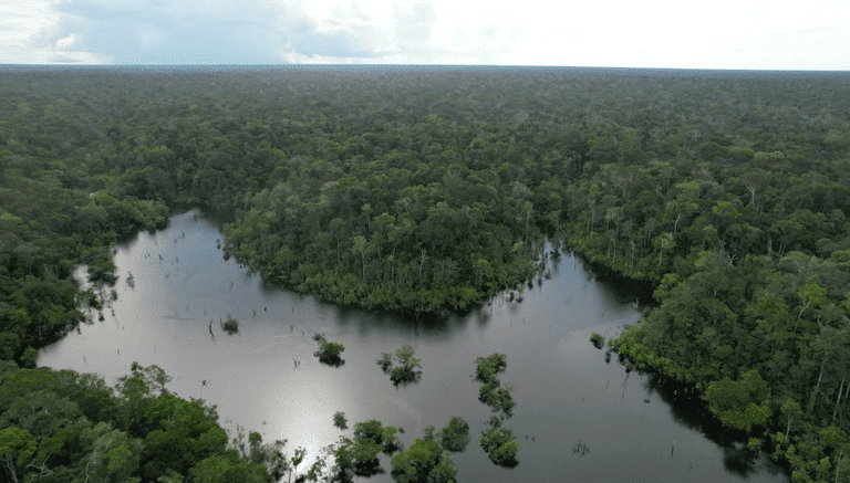 Amazônia