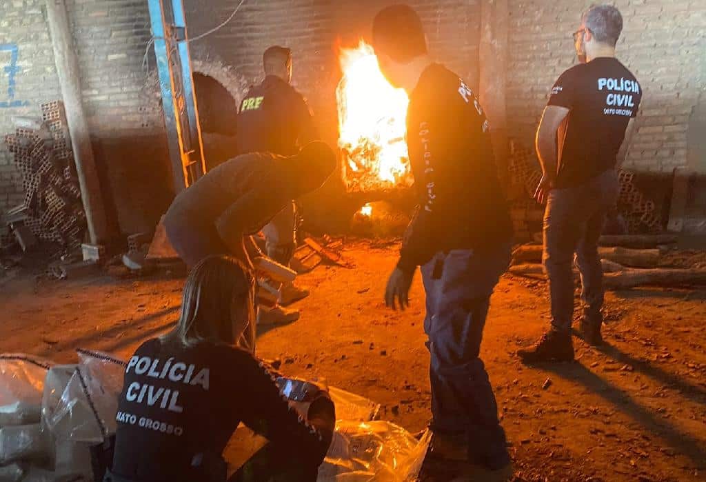 policia civil incinera 200 quilos de entorpecentes em vila rica