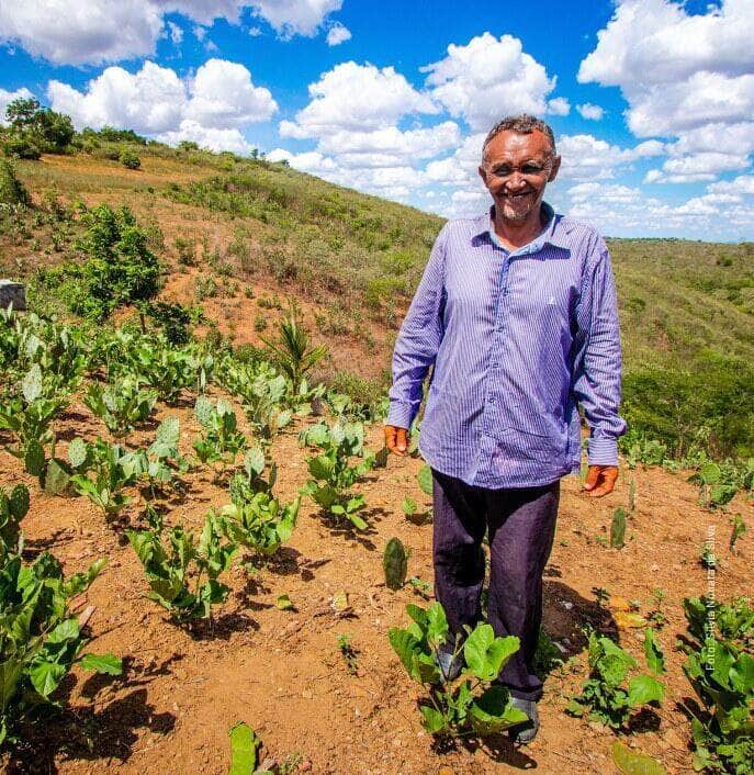 projeto dom helder camara ja beneficiou mais de 76 mil familias de agricultores familiares no semiarido brasileiro