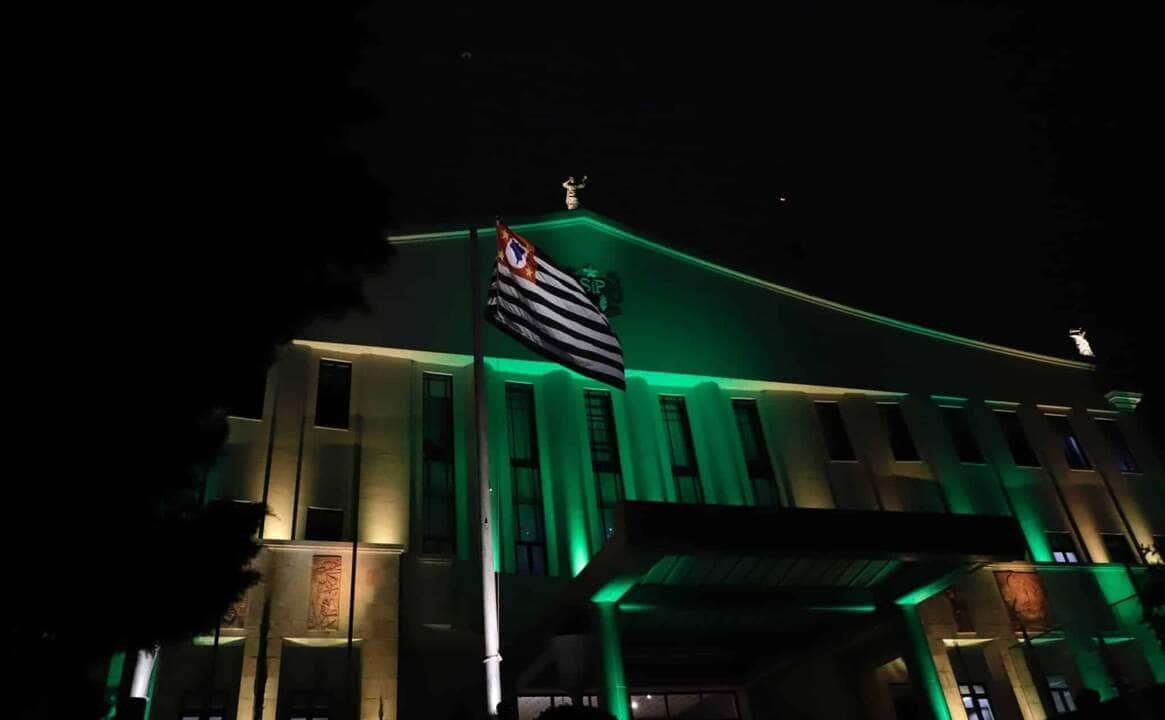 sao paulo traz iluminacao especial em homenagem a pele scaled