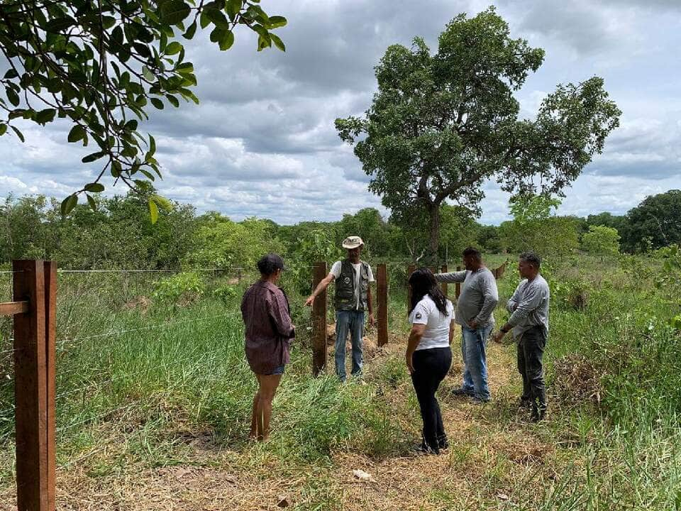 sema promove recuperacao de nascente e plantio de especies nativas na comunidade baia do campo