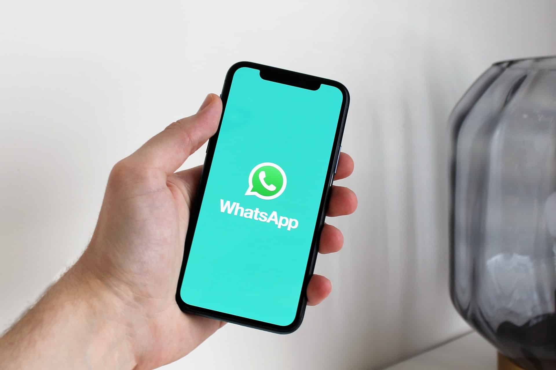 WhatsApp libera recurso para você usar um avatar como foto de perfil; veja  como fazer - SUDZ