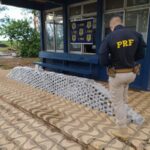Motorista de carreta é preso por transportar 336 tabletes de cocaína