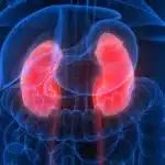 Doença renal: revise os sintomas que permitirão detectar a condição