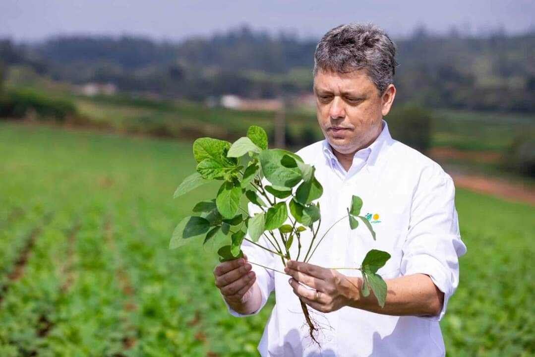 Roberto Meneguetti gerente regional da Tradecorp do Brasil scaled