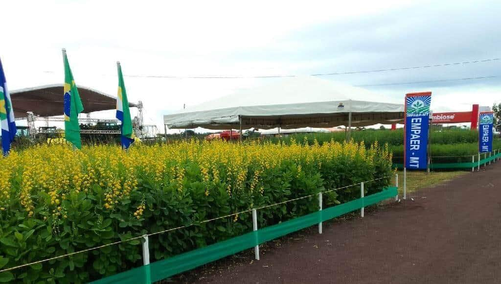 empaer participa da 5ª edicao da feira de negocio e tecnologia agricola em canarana