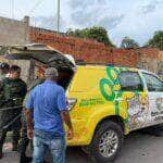 vitimas de maus tratos dois caes sao resgatados e recebem cuidados medicos veterinarios por meio da prefeitura de cuiaba