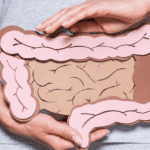 Alterações na microbiota intestinal causam um sistema imunológico fraco