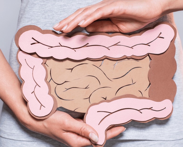 Alterações na microbiota intestinal causam um sistema imunológico fraco