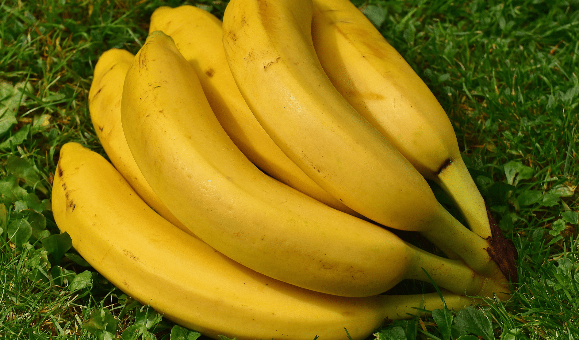 Como fazer receita de doce de banana foto capa