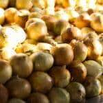 cebola e tomate ficam mais baratos nas centrais de abastecimento