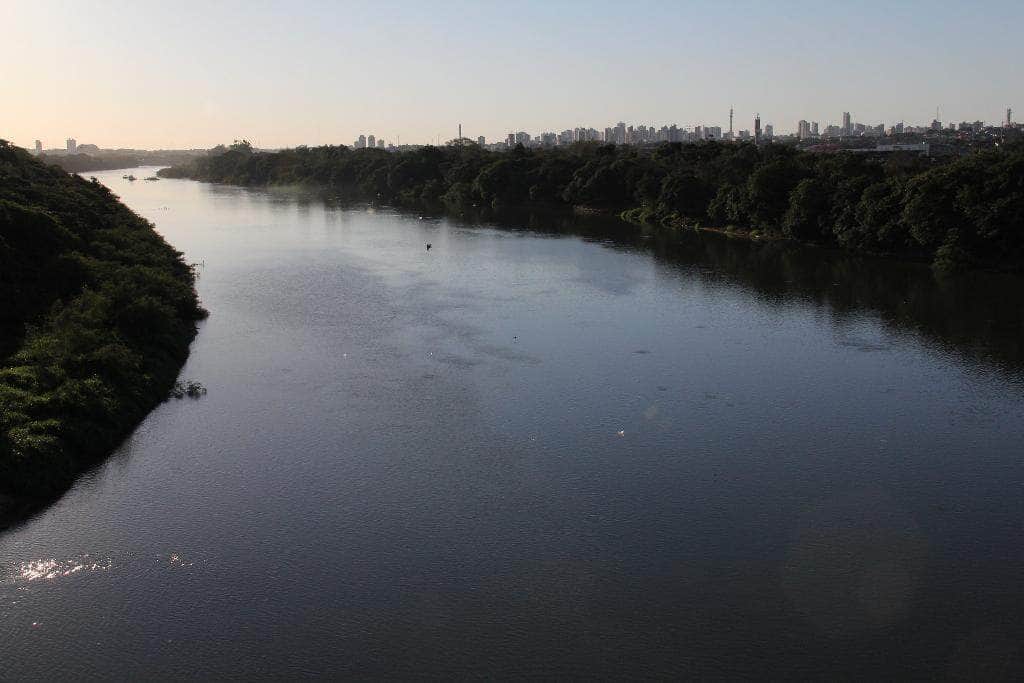 Mato Grosso inicia período de defeso da piracema com ações intensificadas
