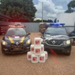 policia civil apreende 400 litros de agrotoxico contrabandeado na regiao de querencia