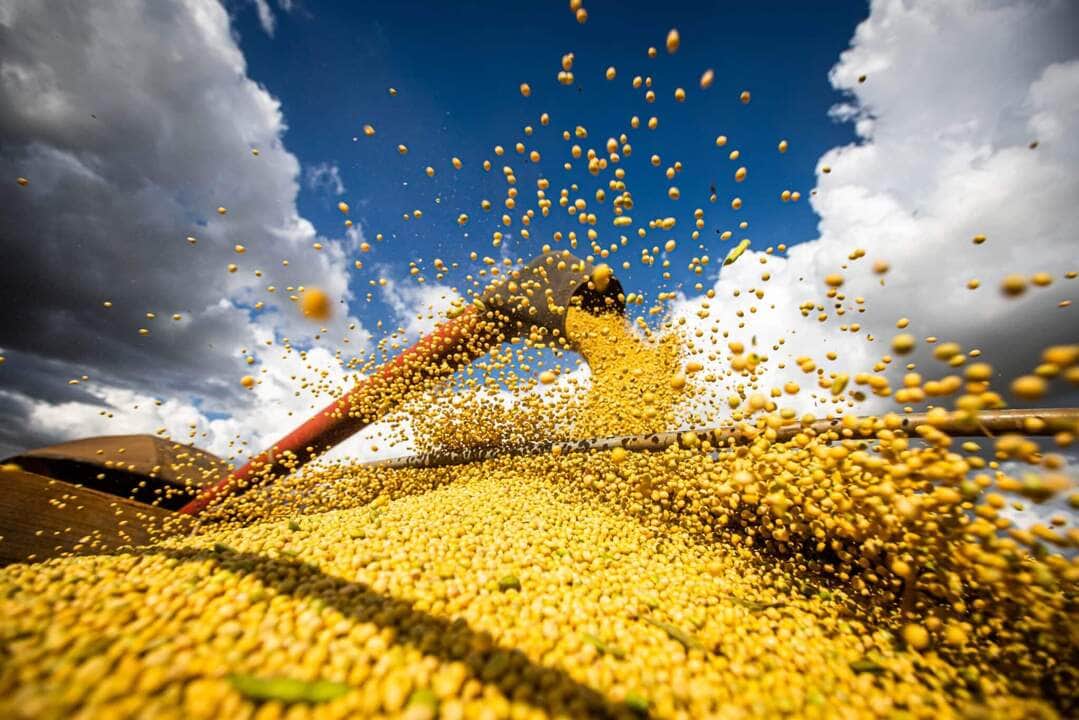 Mato Grosso pode superar Argentina na produção de grãos 2 previsao de safra de graos e 310 6 milhoes de toneladas diz conab scaled