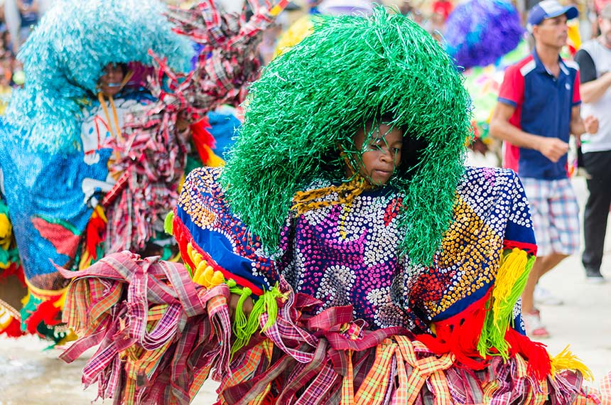 projeto reconhece carnaval de pernambuco como manifestacao da cultura nacional