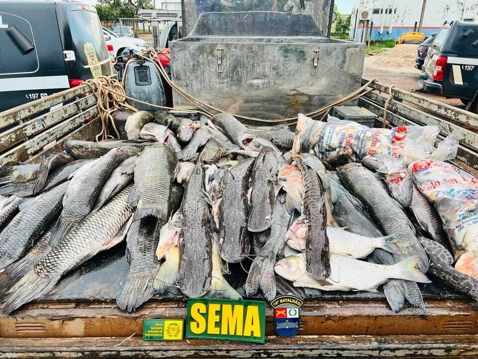 sema mt apreende 450 kg de pescado ilegal na primeira semana apos fim da piracema