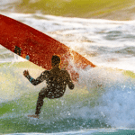 Homem é mordido por tubarão enquanto surfava em praia de Olinda - Foto Canva