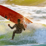 Homem é mordido por tubarão enquanto surfava em praia de Olinda - Foto Canva