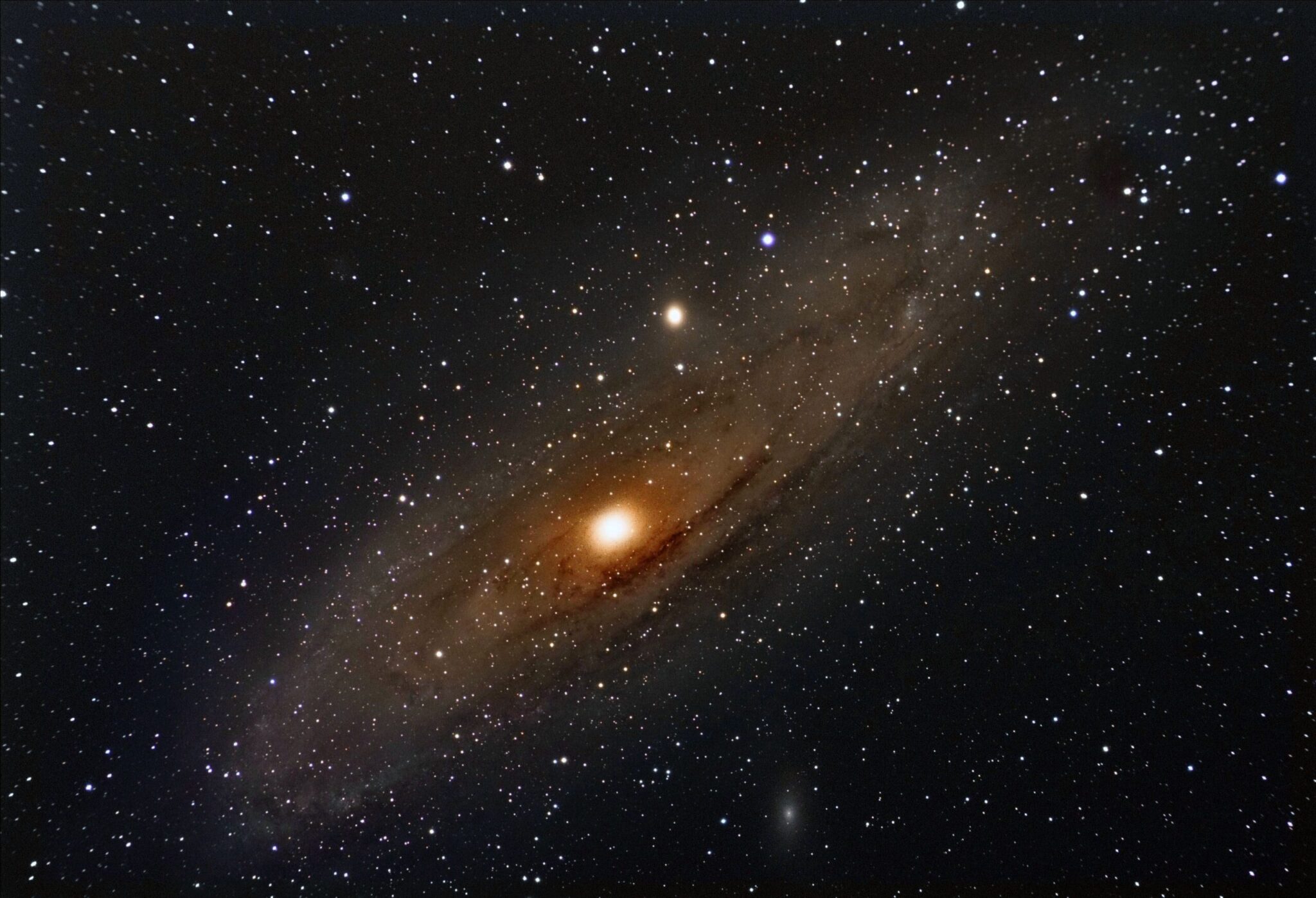 Cada signo do zodíaco tem uma qualidade especial: Saiba qual é a sua 6 touro horoscopo scaled