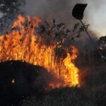 amazonia concentra 90 da area com focos de incendio no 1º bimestre