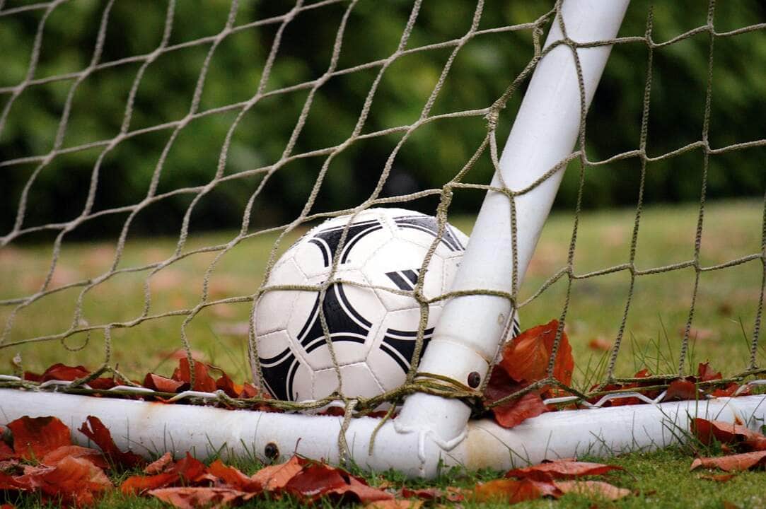Aqui estão os 5 signos mais fanáticos por futebol 82 Pixabay | por: neelam279
