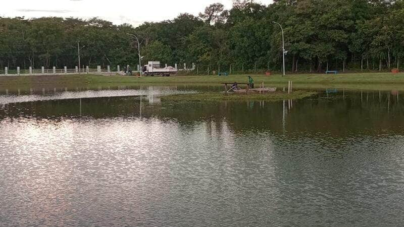 em acao de limpeza prefeitura retira 400 quilos de lixo do lago harri muller