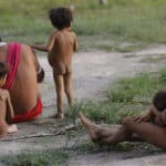 ibge inicia ultima etapa do censo 2022 na terra indigena yanomami
