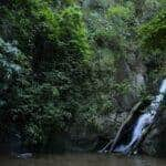 mata atlantica tem agua de boa qualidade em 6 9 dos rios