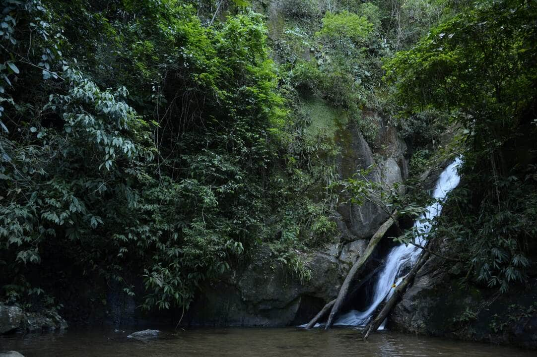 mata atlantica tem agua de boa qualidade em 6 9 dos rios scaled