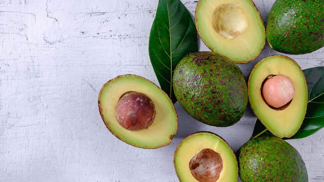 Sabor e Nutrição em um Copo: Aprenda a Fazer Vitamina de Abacate em Casa 6 receitas com abacate