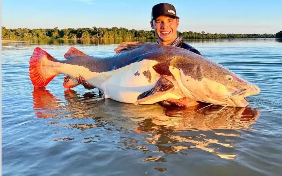 Empresário recebe placa de recorde mundial após pescar pirarara de mais de 70kg em rio de Mato Grosso
