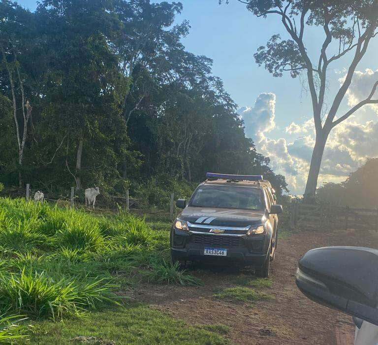 Policia prende e justica solta homem que matou oncas com requintes de extrema crueldade em Mato Grosso 1