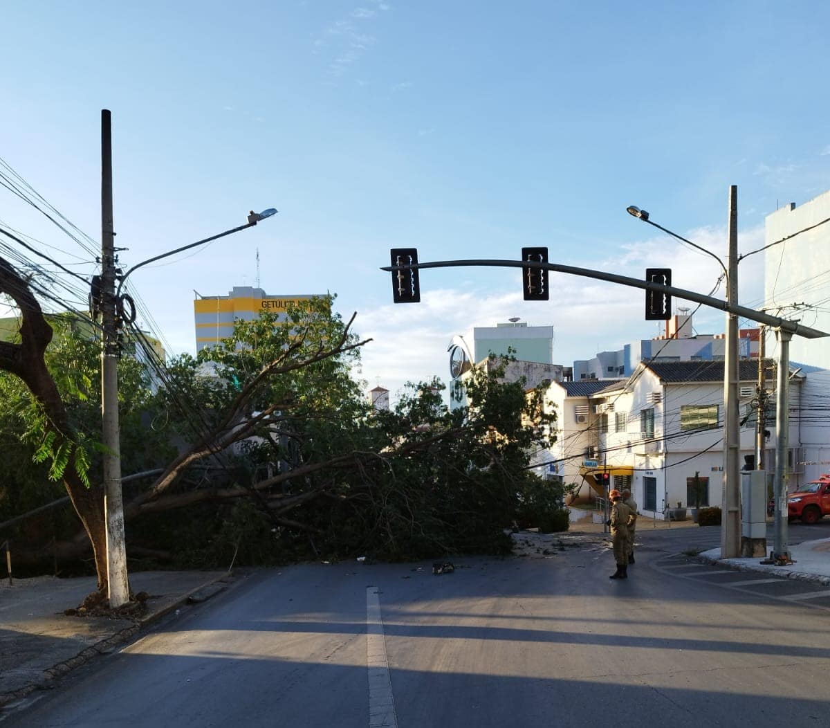 Árvore centenária cai no centro de Cuiabá