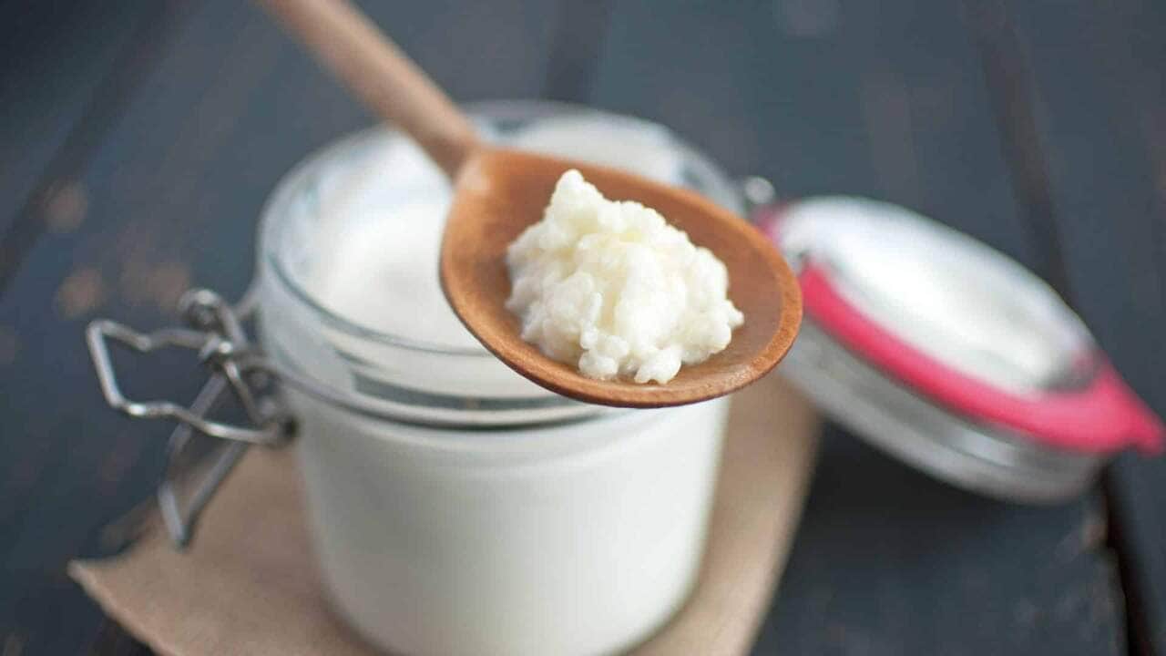 como-fazer-kefir-em-casa-um-guia-passo-a-passo-cen-riomt