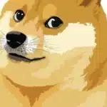 doge 1 848x477 1