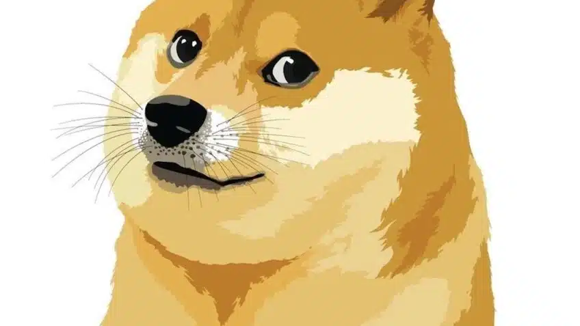 doge 1 848x477 1