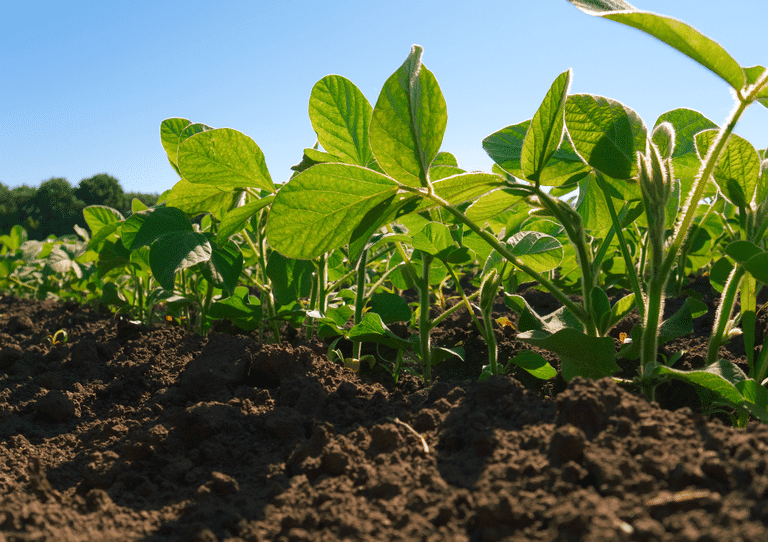 mapa publica 44 registros de defensivos agricolas sendo sete de baixo impacto