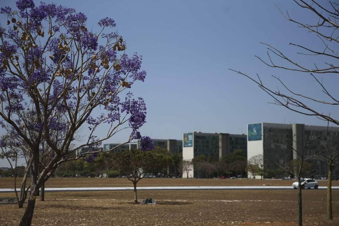 participacao feminina em cargos no governo federal mostra estagnacao scaled