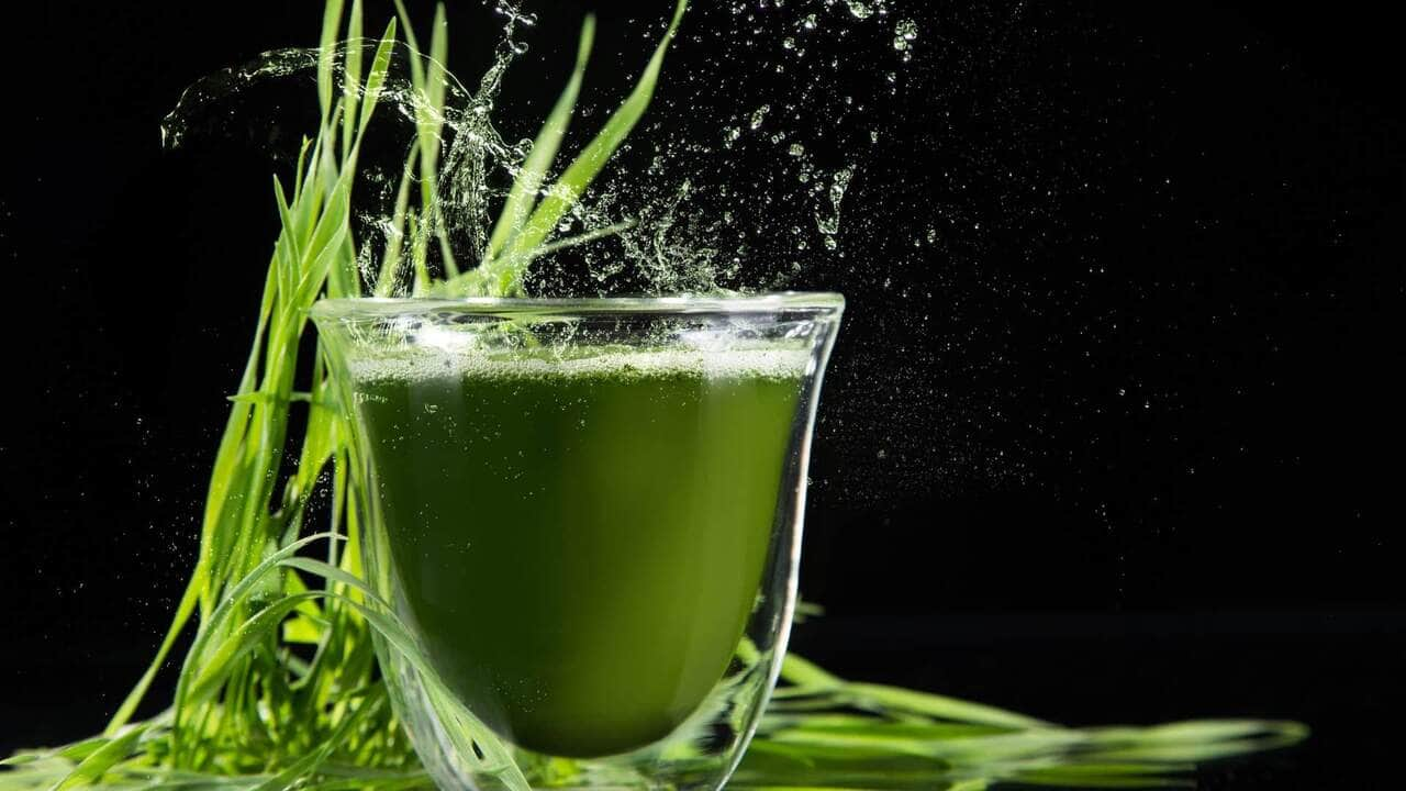 receita de suco detox